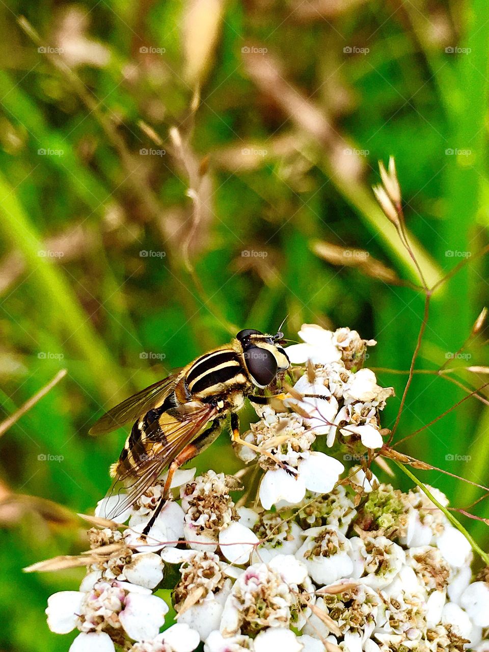 Captured with iPhone 6s Plus 