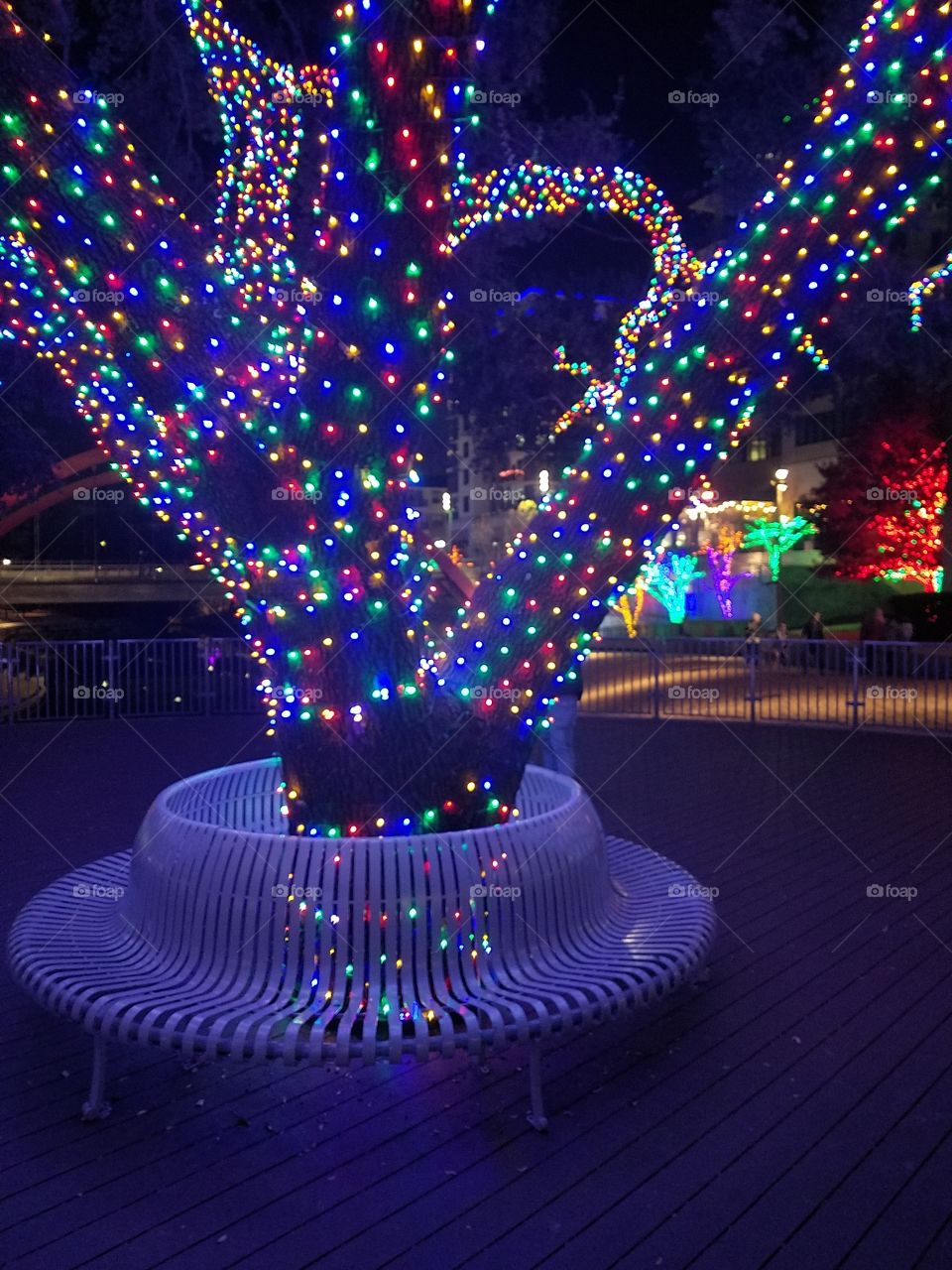 Colorful decorated tree and bench