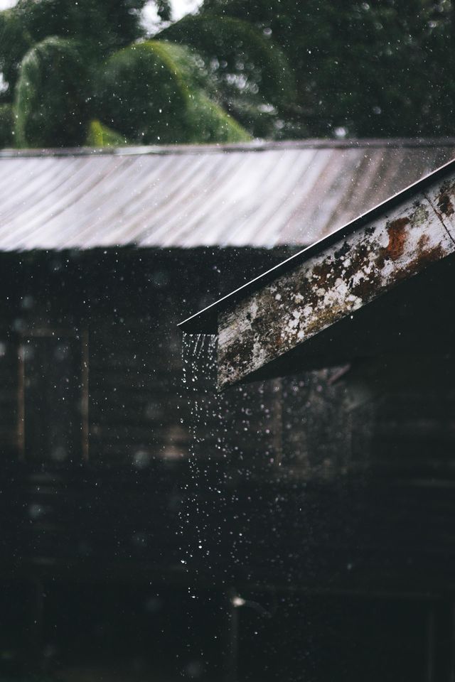 Rainy day