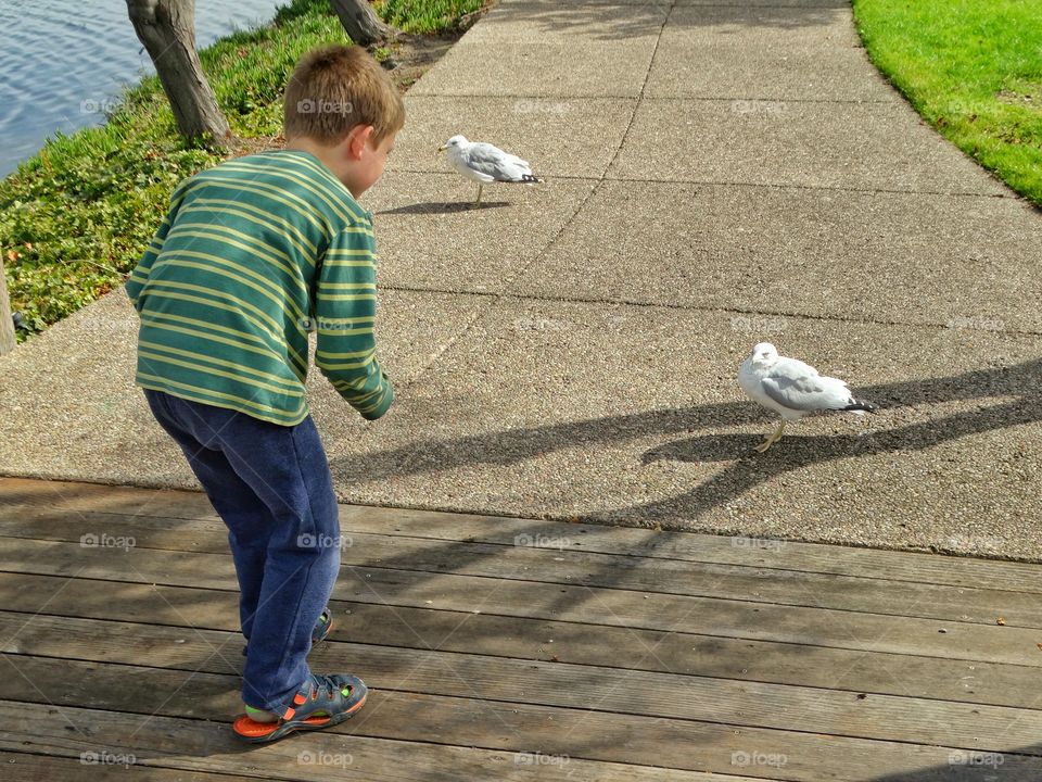 Boy Feeding Birds