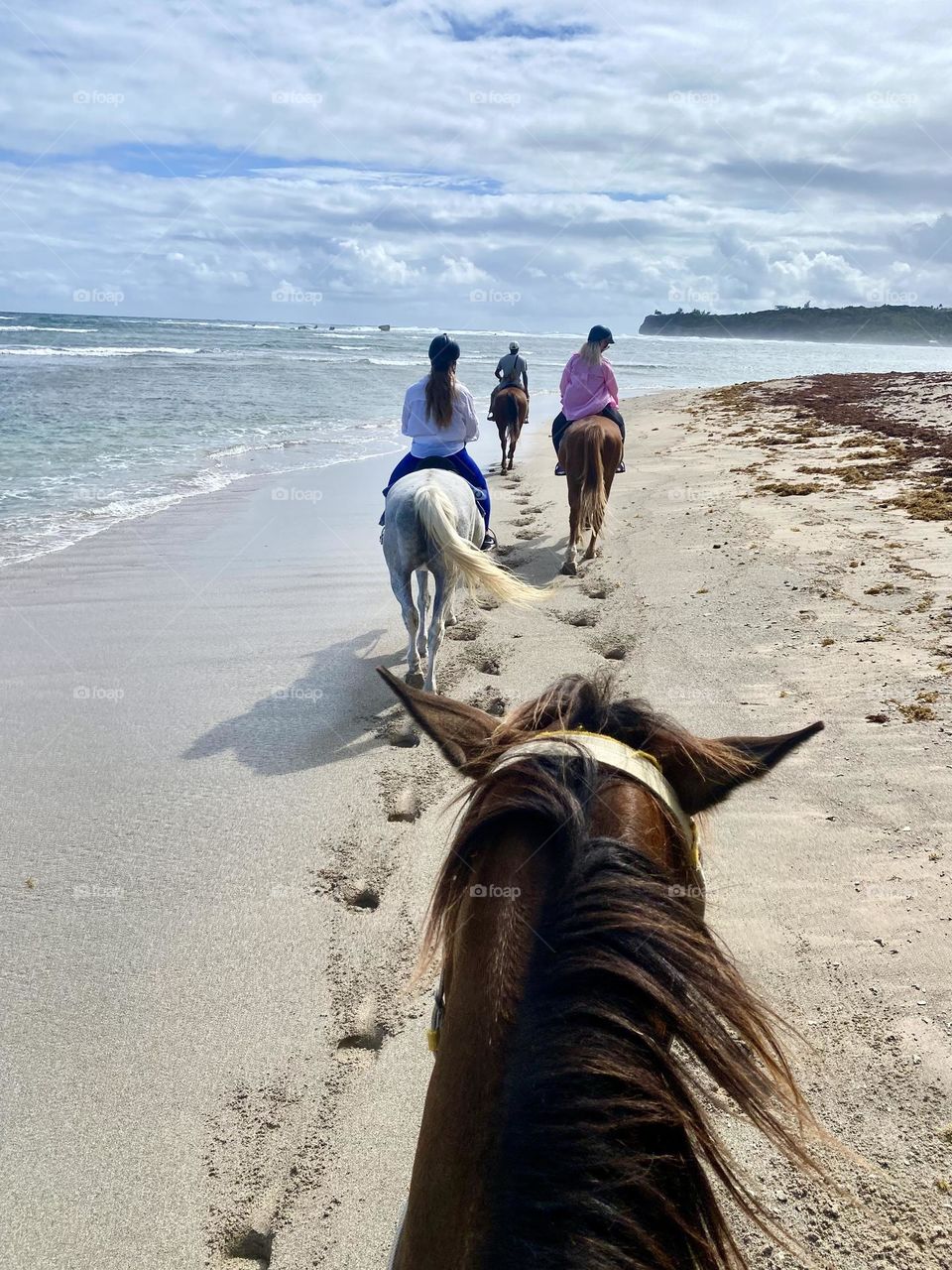 Horses on a beach - moments of joy