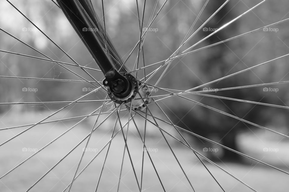Bicycle tire spokes 
