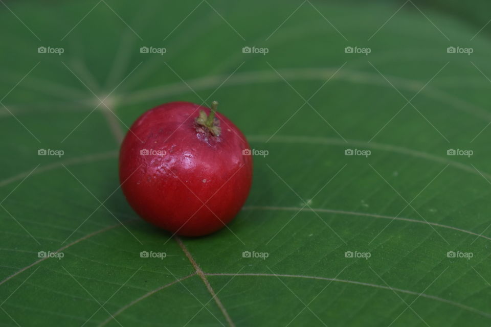 red colored scramberry
