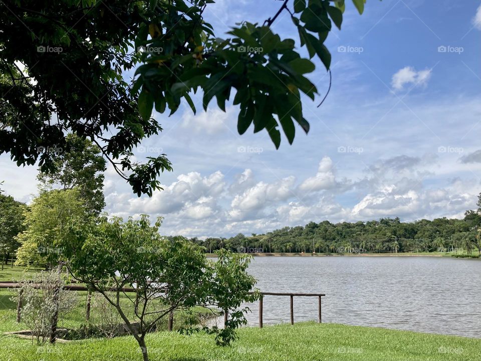 Moment of tranquility… the peace of a quiet place in the countryside.  Contemplating nature! / Momento de tranquilidade… a paz de um lugar calmo no campo. Contemplando a natureza!