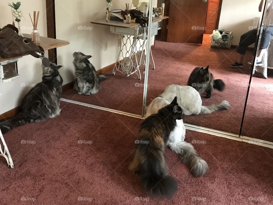 What is going on ??????