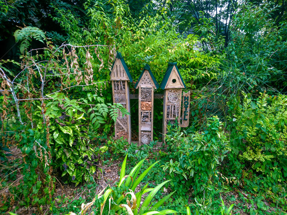 Champs-Élysées Garden