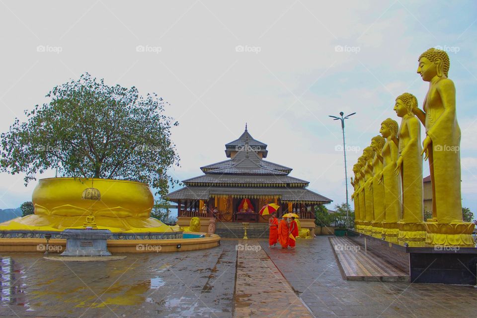 The buddhist temple