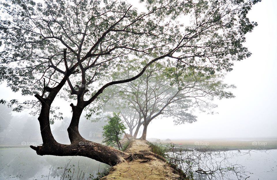 morning in Bangladesh