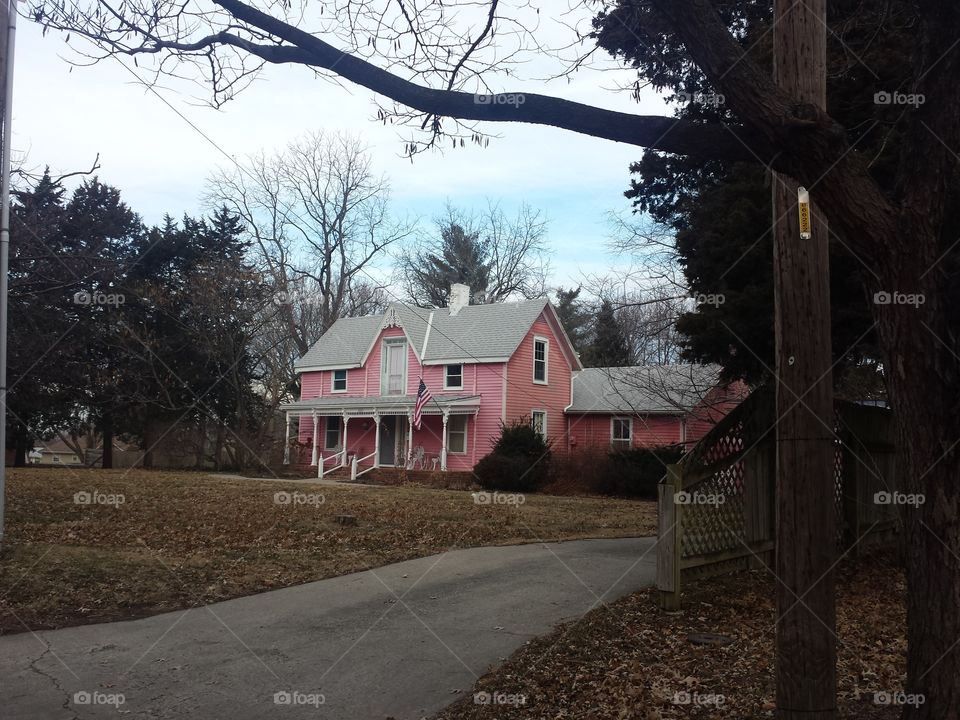 Pink Victorian House