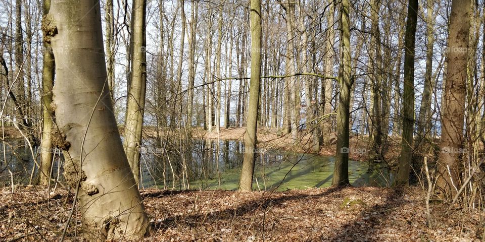 living Here is the best