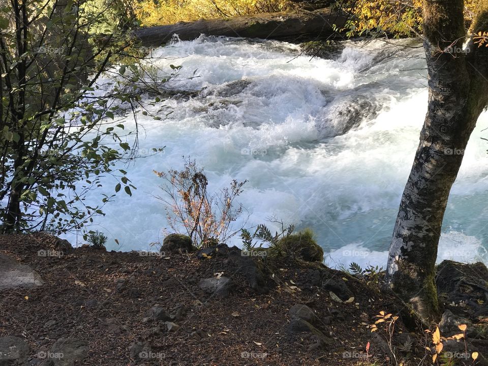 Sun rays reflect off the rushing waters of the McKenzie River in the mountains of Western Oregon on a beautiful fall day. 