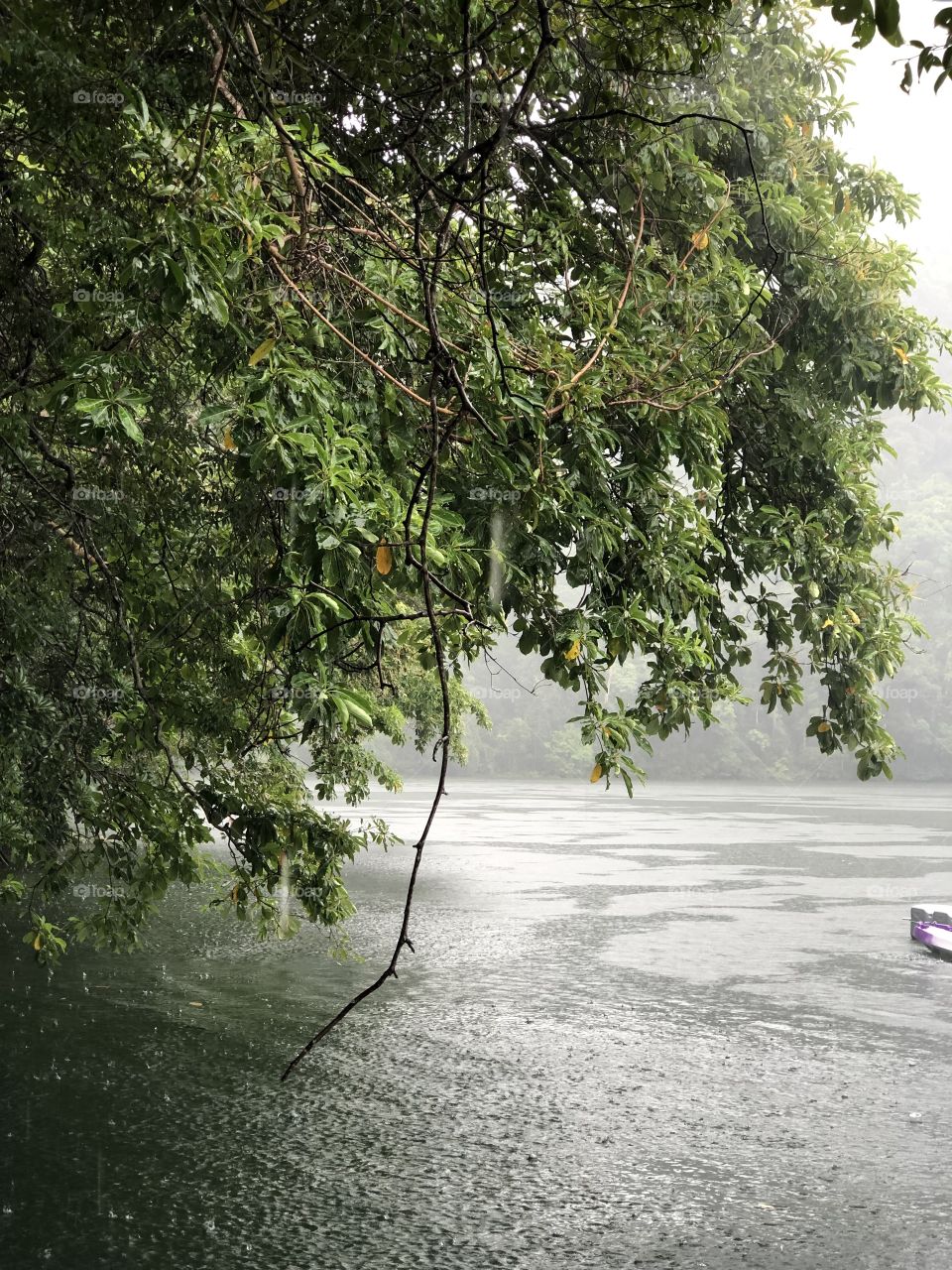 Sea side at Langkawi island 🌴