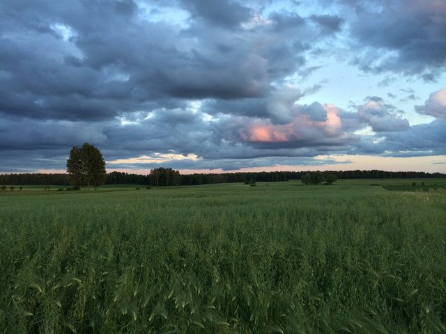 Podlasie, Poland