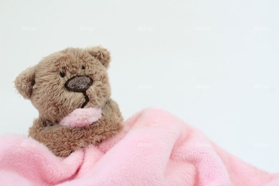 Teddy bear holding a pink blanket isolated on a white background. Birth of baby girl concept