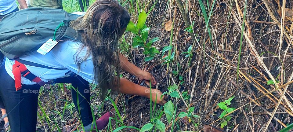 One tree, save life.