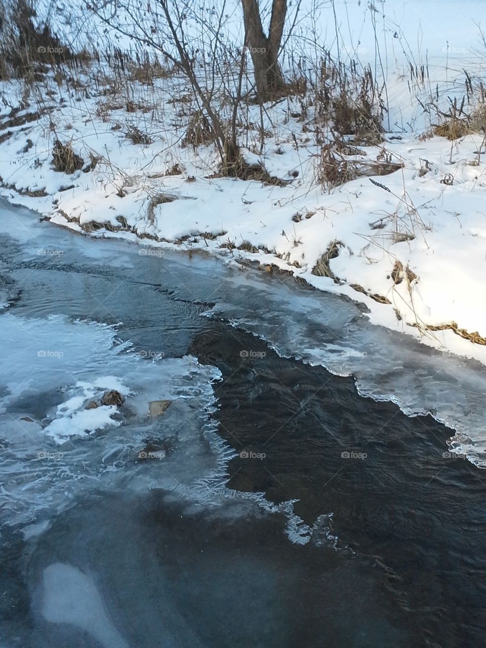 frozen creek