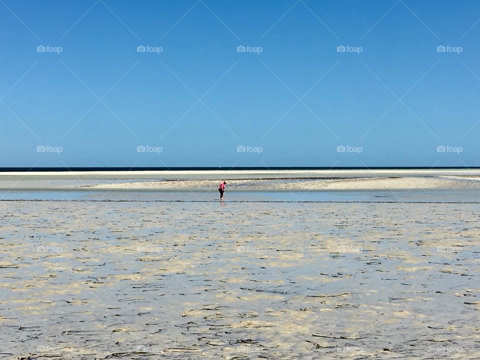 Lone person in distance walking at extreme low tide 