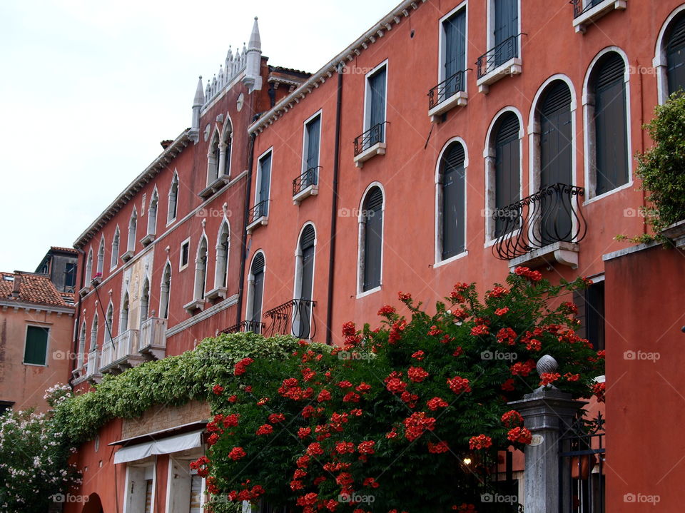 red flowers on a red house