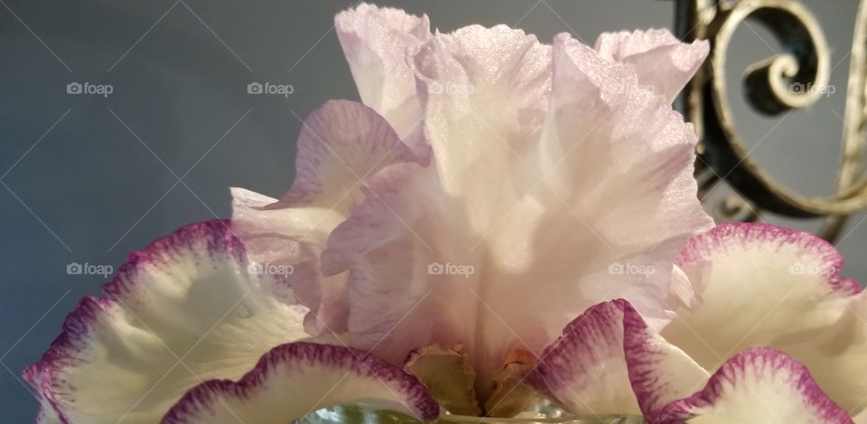 Flower with Chandelier