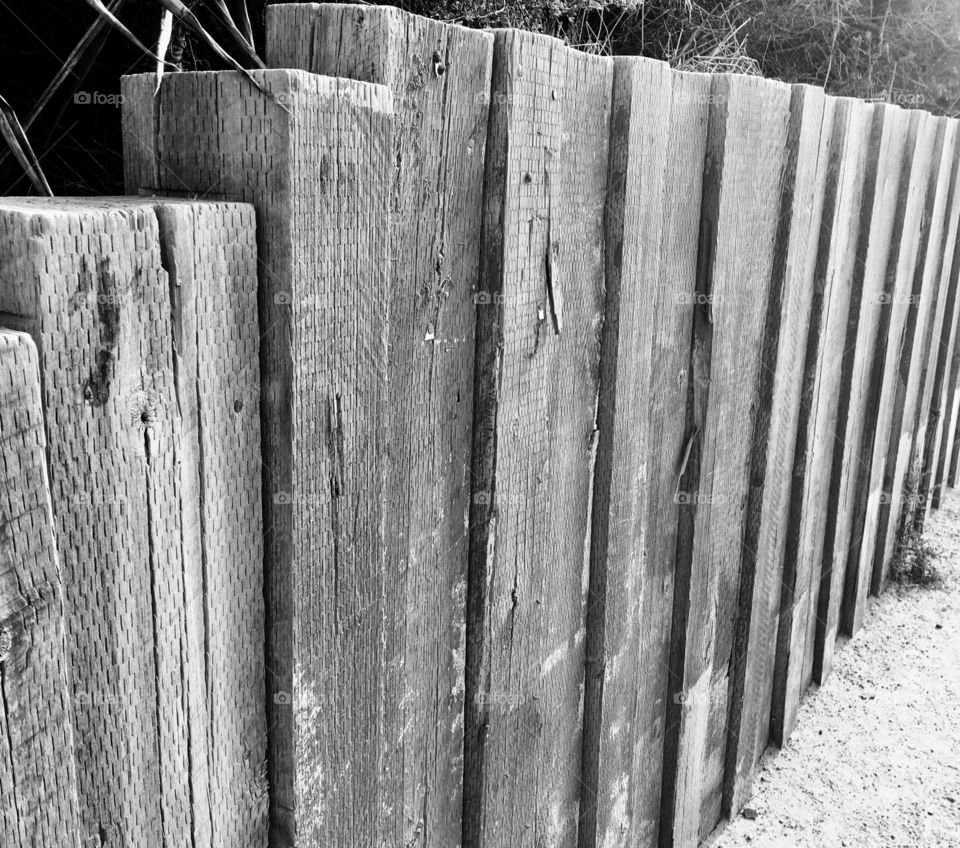 Texture ed Fence