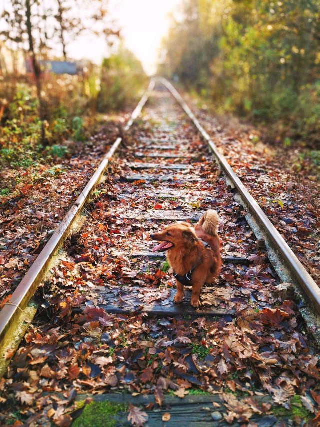 autumn Ed