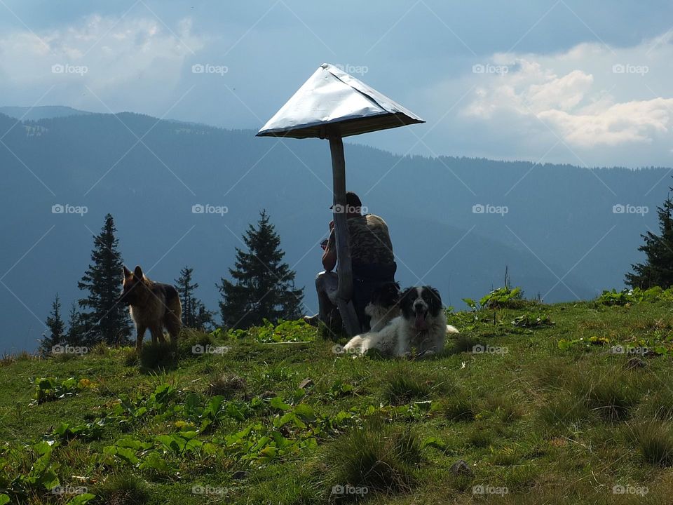 upload photos of the week