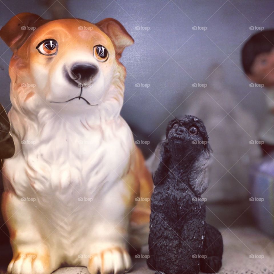 Forgotten dog statues looking for new homes at Value World 