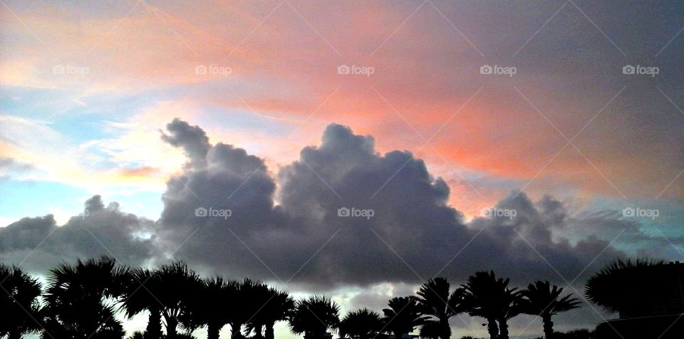 Sunset over palm trees