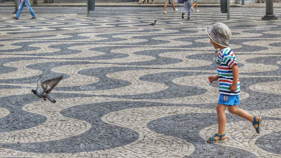 Child chasing a pigeon