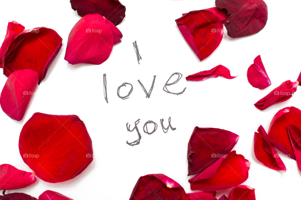 Red Rose Petals With Love Word Text Message Isolated In White Background
