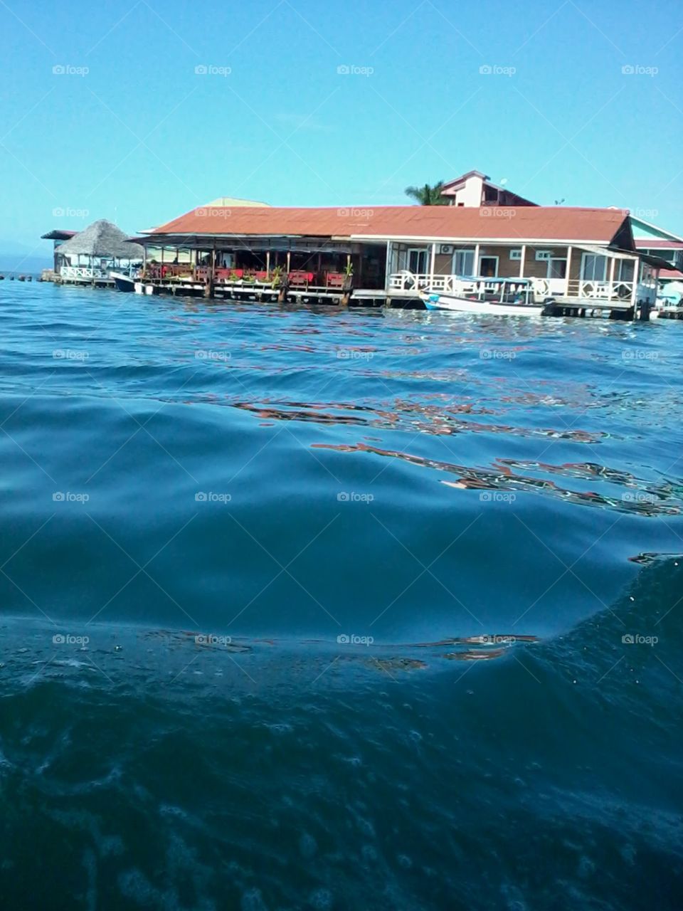 Bocas Paradise