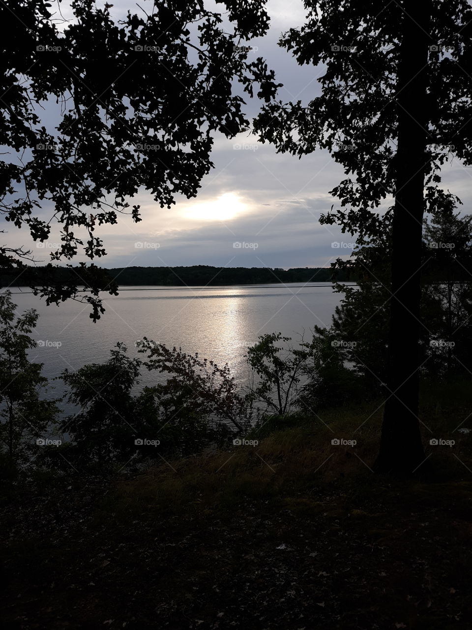 Morning sunrise over the lake glistening across the water framed by tree branches