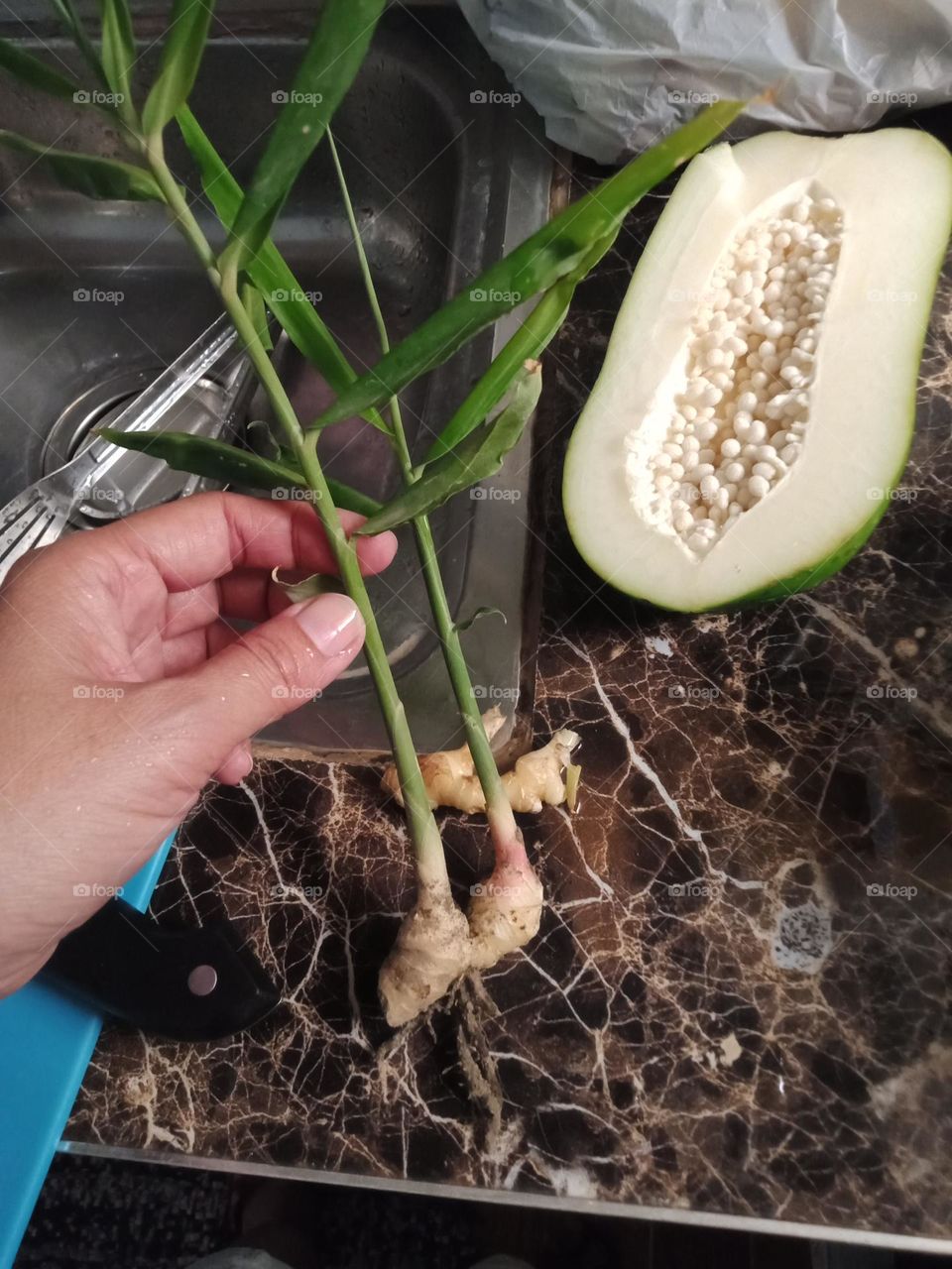 From Backyard Sustenance; Ginger & raw Papaya
