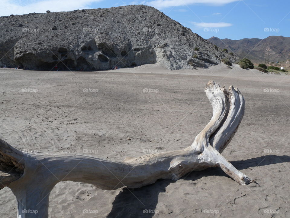 beach
Strandfund