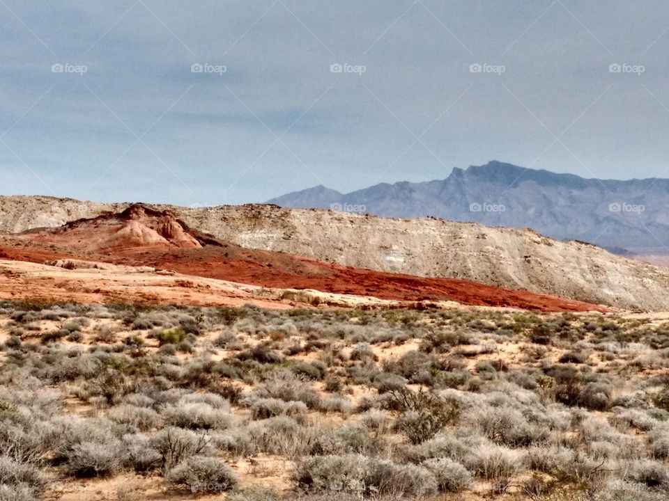 valley of fire outcrop. 2015 trip