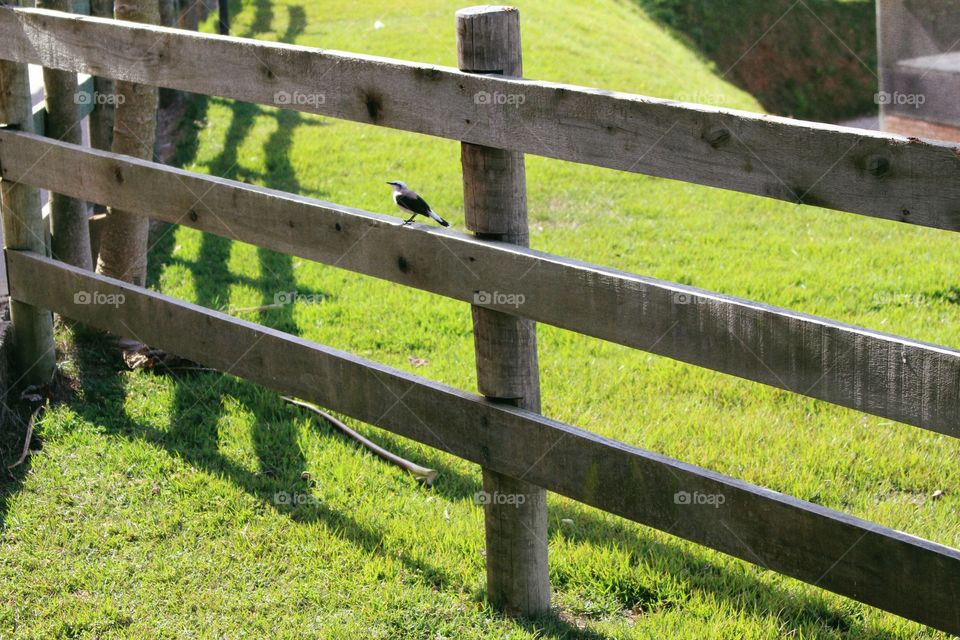 beautiful sunny day at the farm