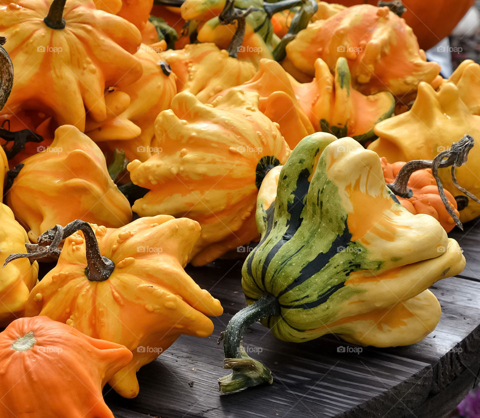 Unusual pumpkins 