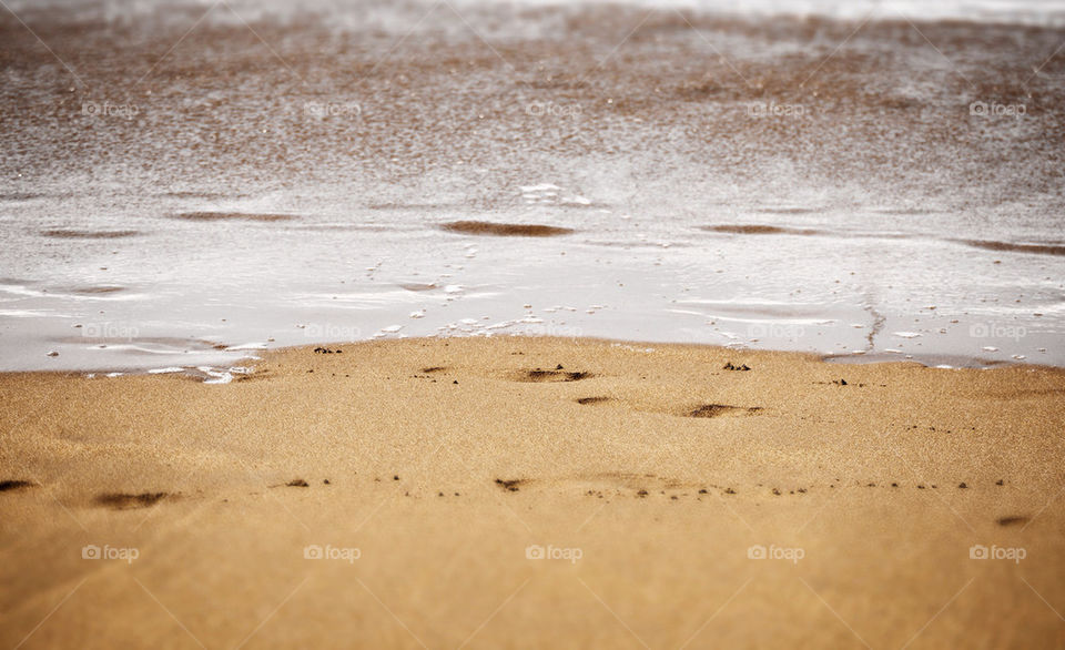 beach water sand sea by feerglas