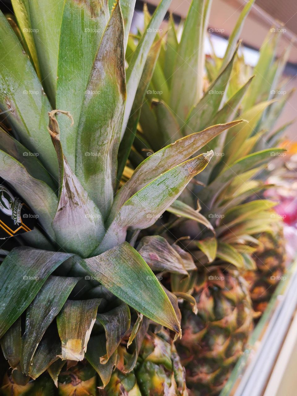 From the most delicious tropical fruit pineapple