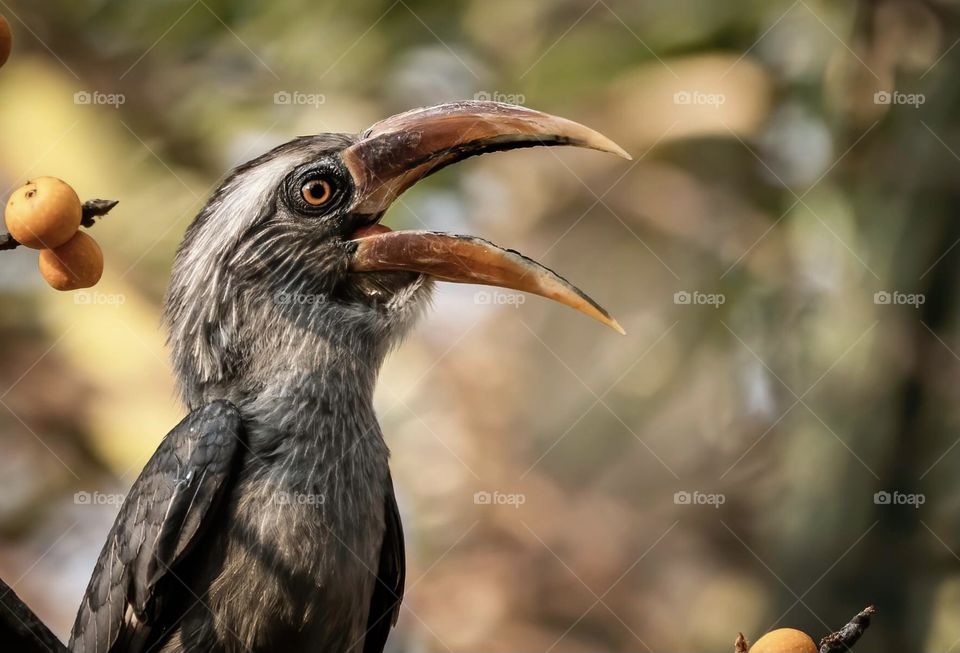 I am here hello 👋🏻