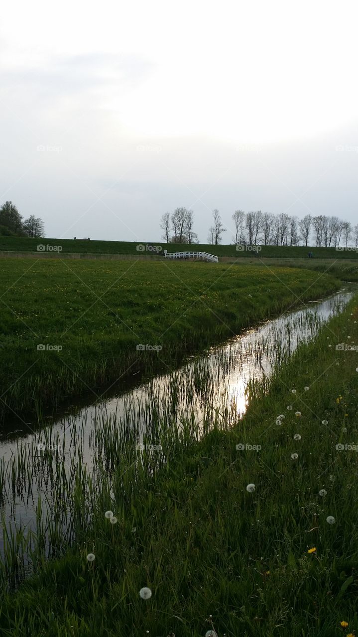 Old dyke . Nederlands countryside 
