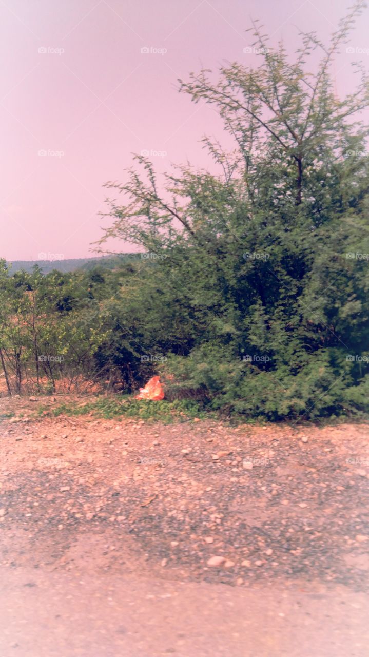 UP India Sonbhadra Nice Look Parvati