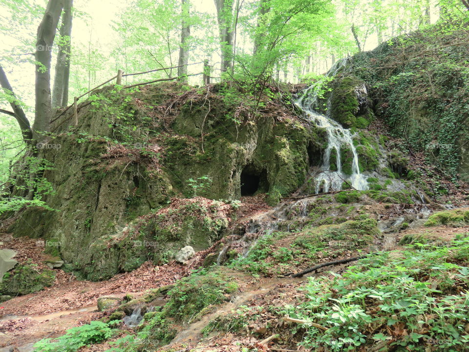 Waterfall and caves in dense forrest