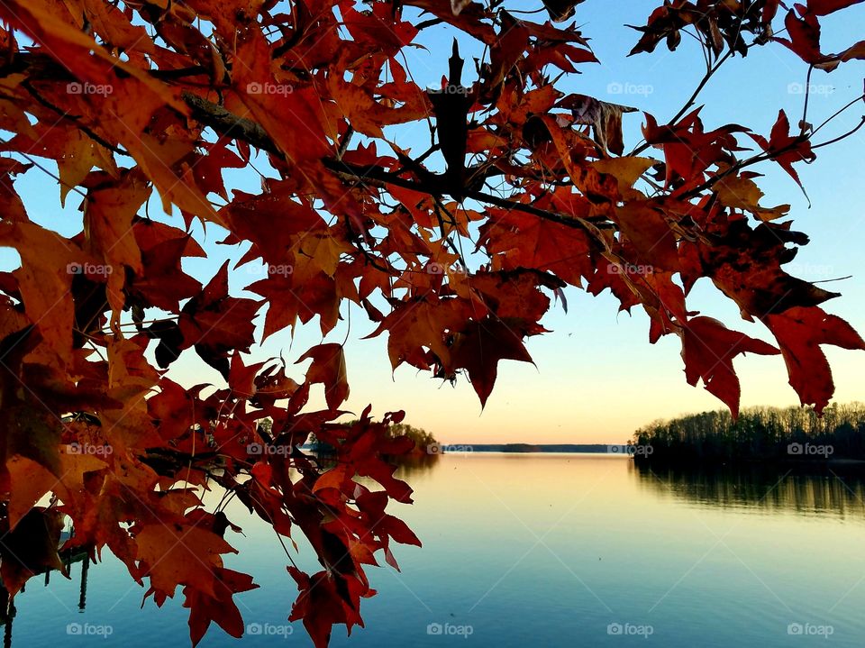 evening view of fall on the lake.