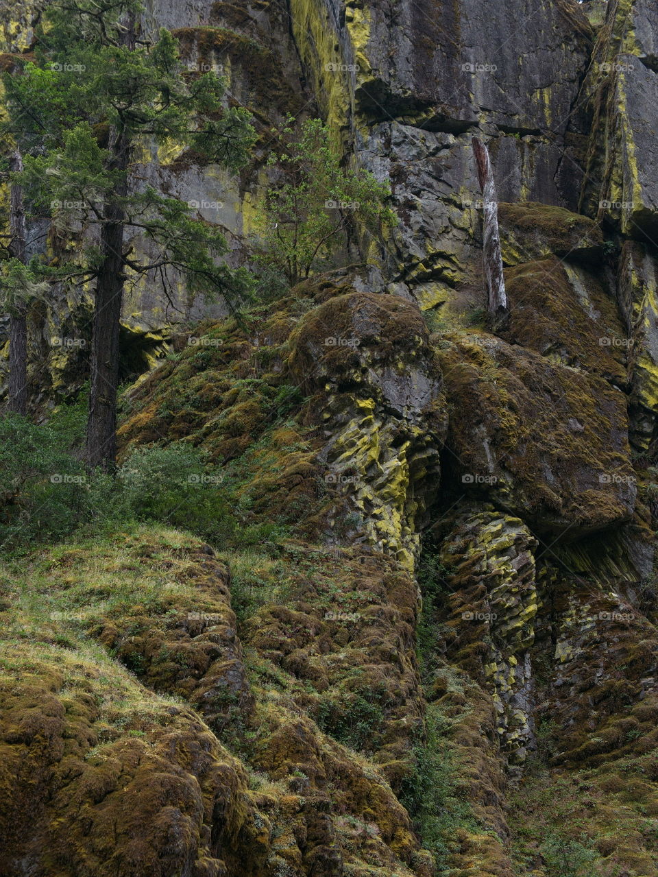 Boulders and rocks line the river banks of the magnificent waters of the Umpqua River in Southwestern Oregon on a summer morning. 