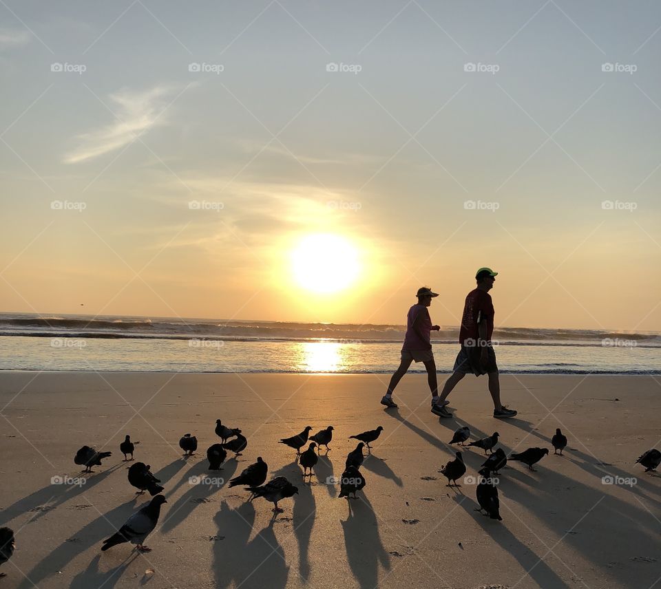 Walking the seashore 