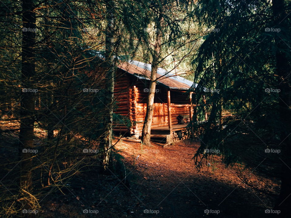 Log Cabin 