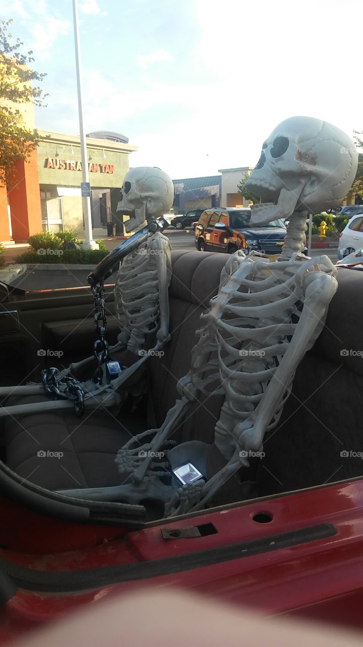 two skeletons hanging out