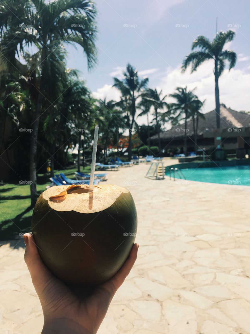 Coconut in the Carribean