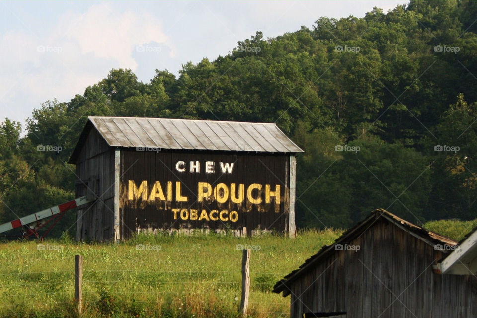 Mail Pouch Barn